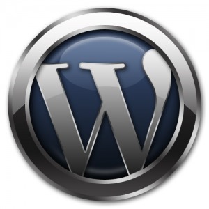 5 Dicas para usar o WordPress como CMS